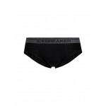 Icebreaker<br>Anatomica Brief